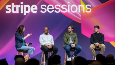 stripe news december 2025