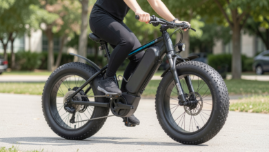 fat tire electric bike