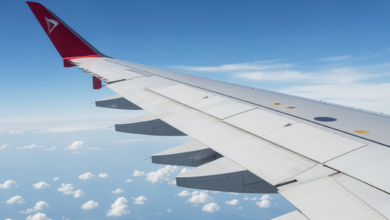 delta flight wing flap